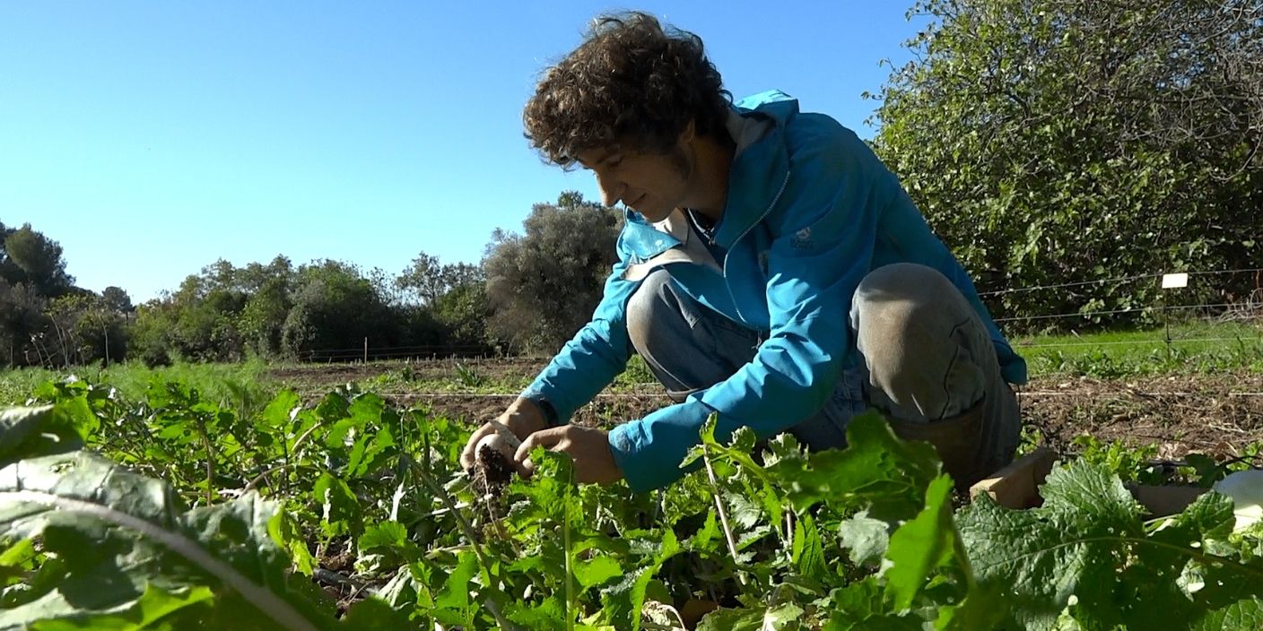 Activité de team building RSE à Marseille dans les quartiers nords avec une ferme agricole bio